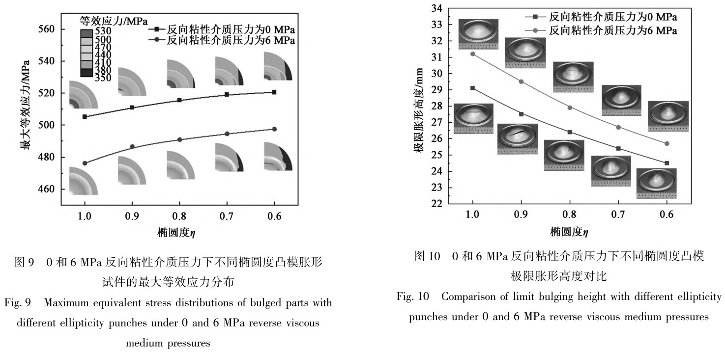 1712419522508138.jpg t9-10.jpg