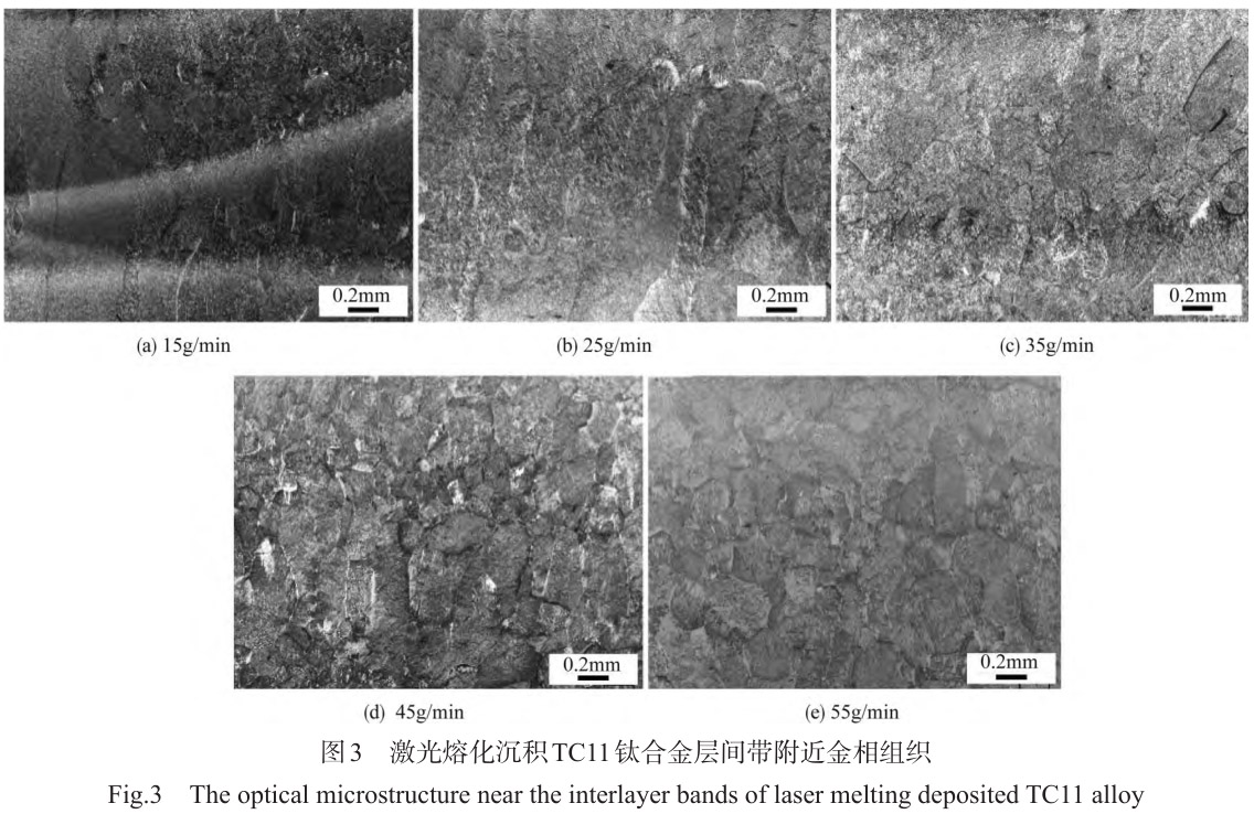 1712443994185726.jpg t3.jpg