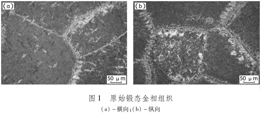 1704886332319233.jpg t1.jpg