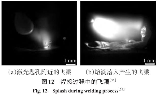 1710887887352684.jpg t12.jpg