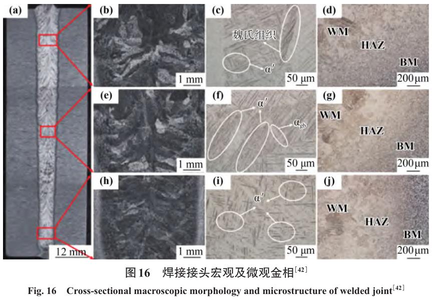 1710887932881552.jpg t16.jpg