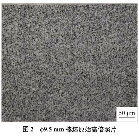 1694385288278692.jpg t2.jpg