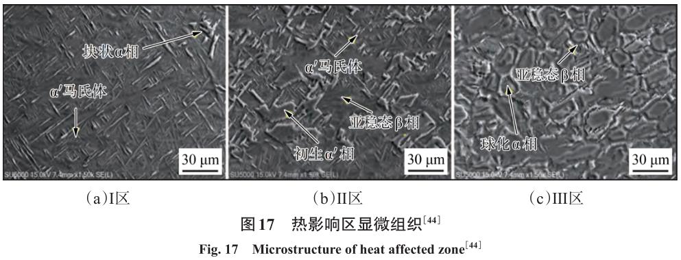 1704879521506002.jpg t17.jpg