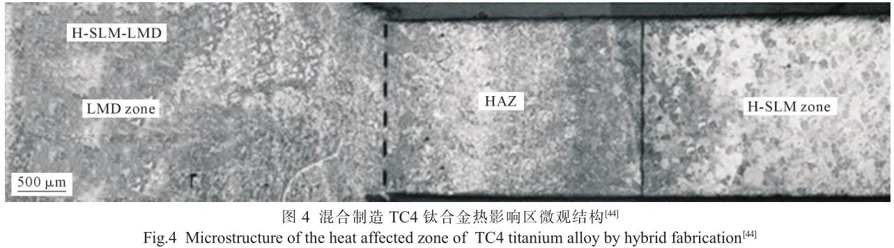 1705821547295294.jpg t4.jpg