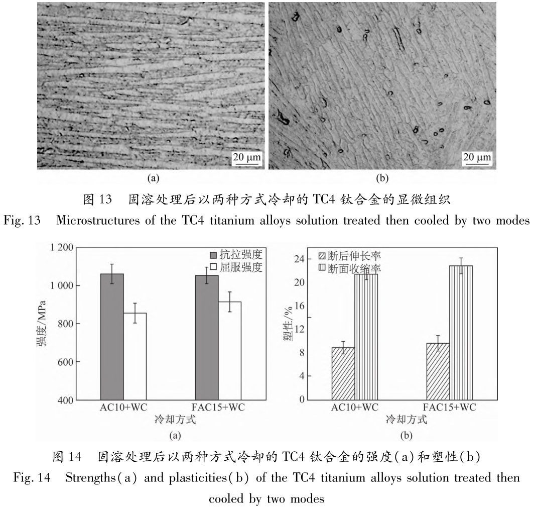 1705831341416273.jpg t13-14.jpg