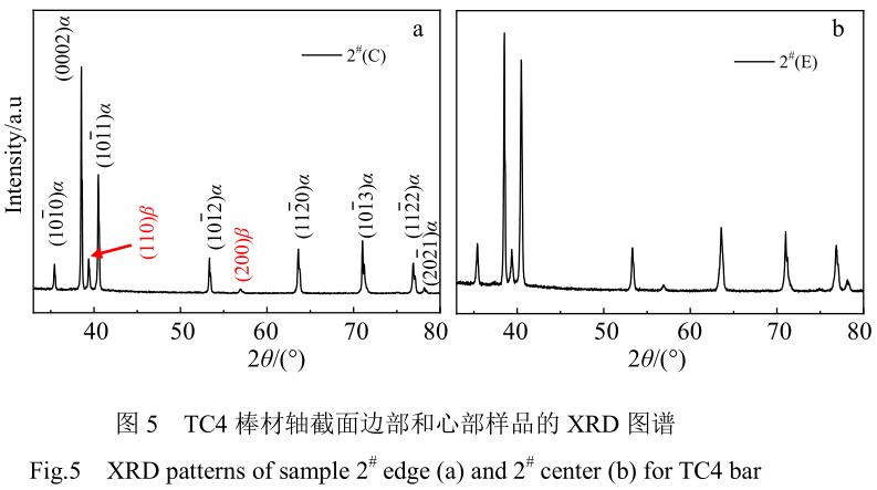 1705846614259391.jpg t5.jpg