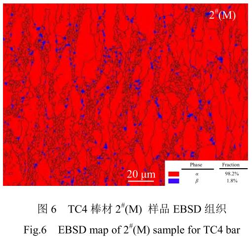 1705846624984966.jpg t6.jpg