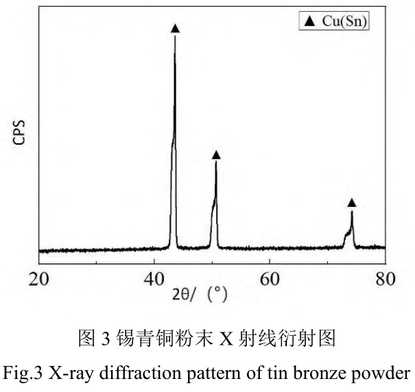 1712418184970024.jpg t3.jpg