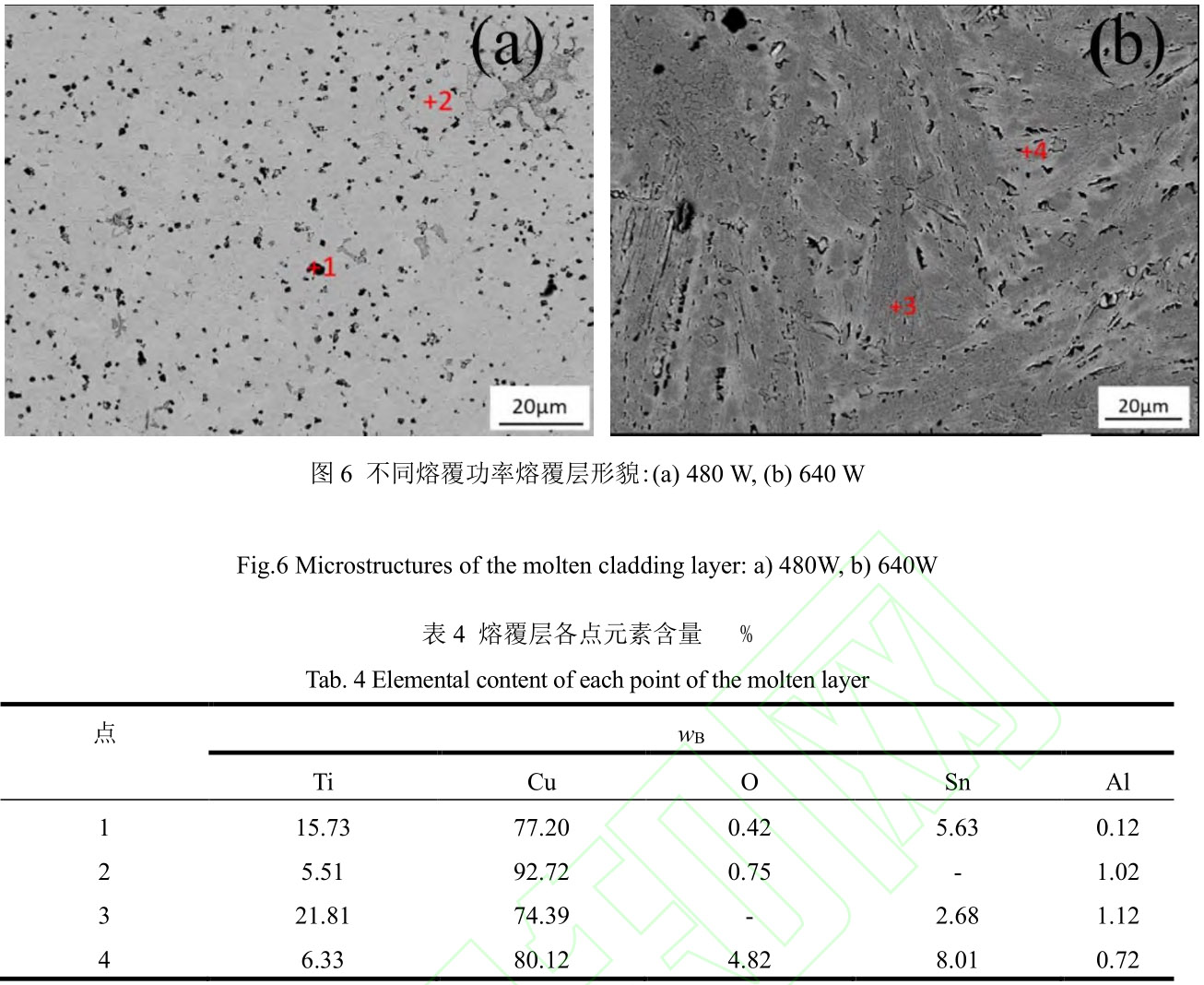 1712418218264737.jpg t6-b4.jpg