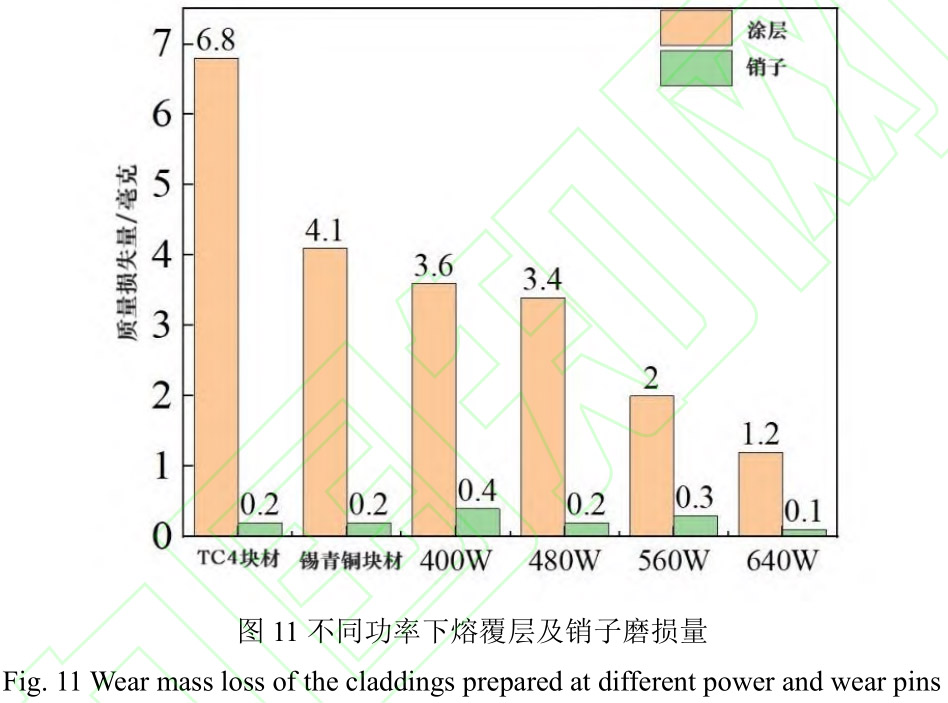 1712418270884977.jpg t11.jpg