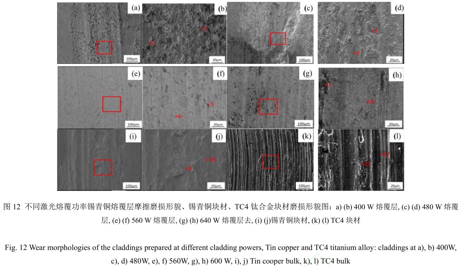 1712418281258907.jpg t12.jpg