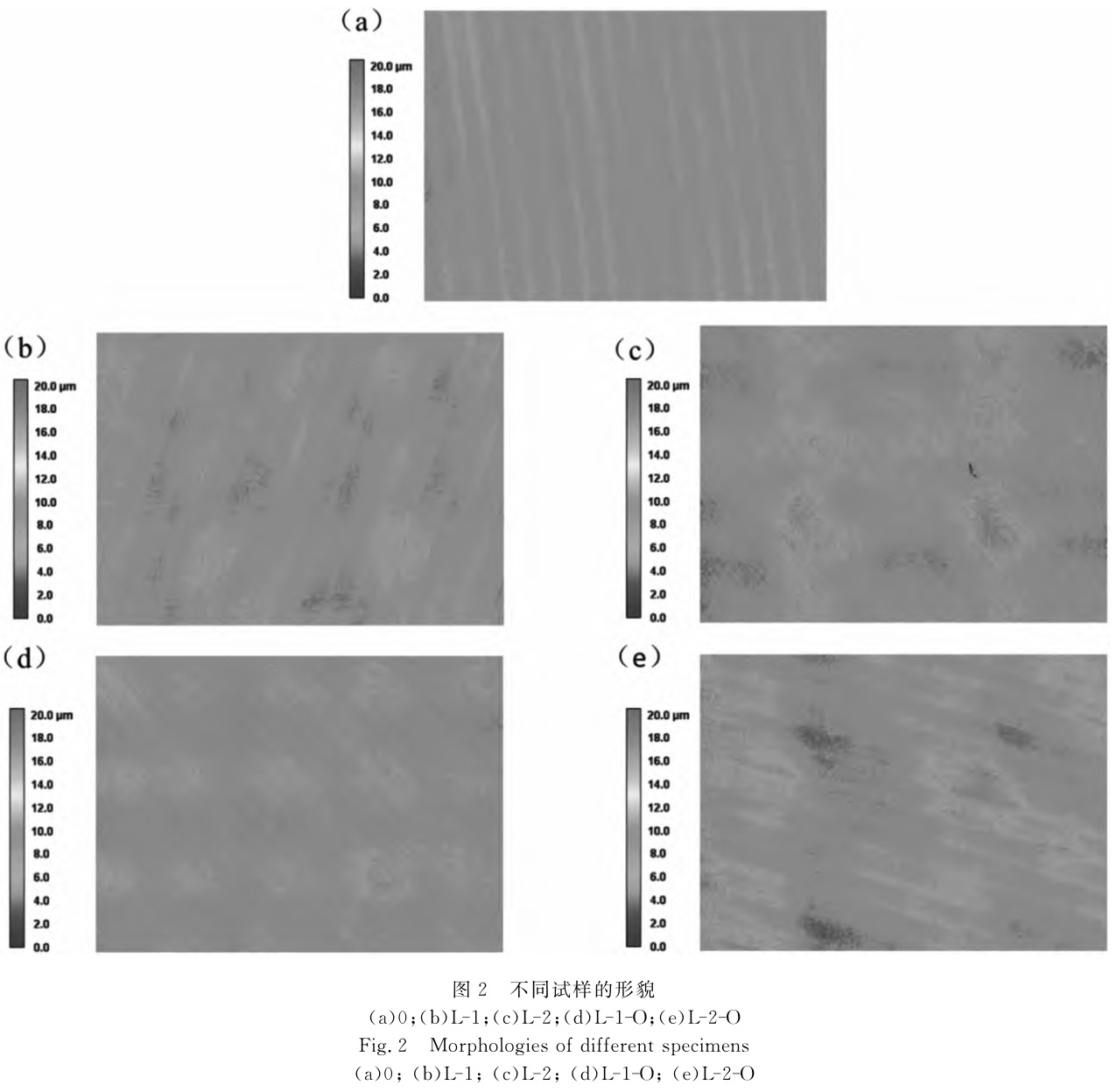 1708868493730286.jpg t2.jpg