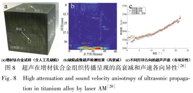 1722480671294165.jpg t8.jpg