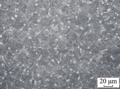 1728353271772842.png 10.png