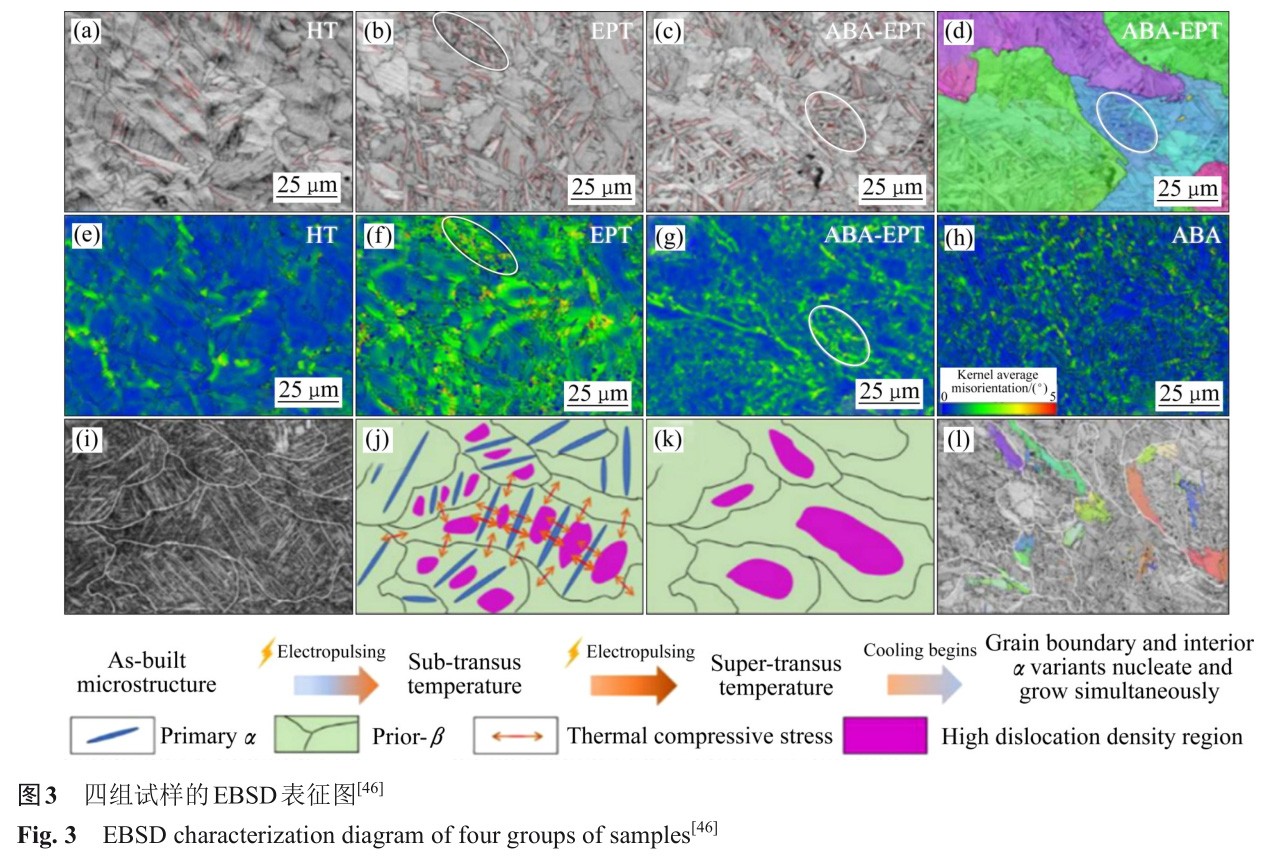 1728464203489764.jpg t3.jpg