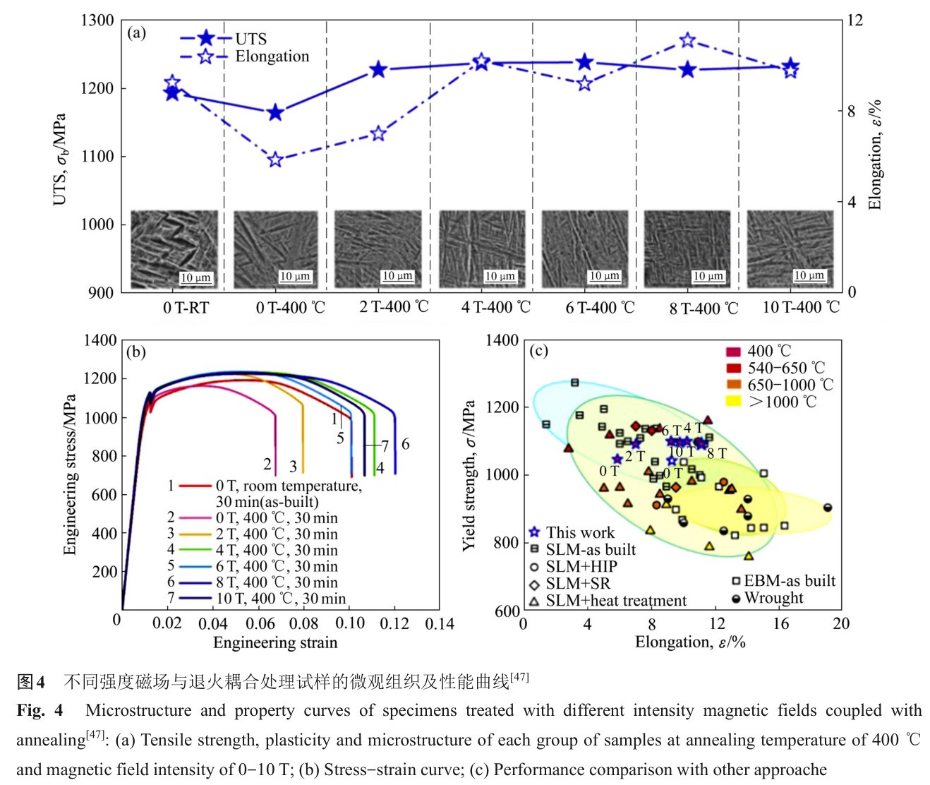 1728464223426710.jpg t4.jpg