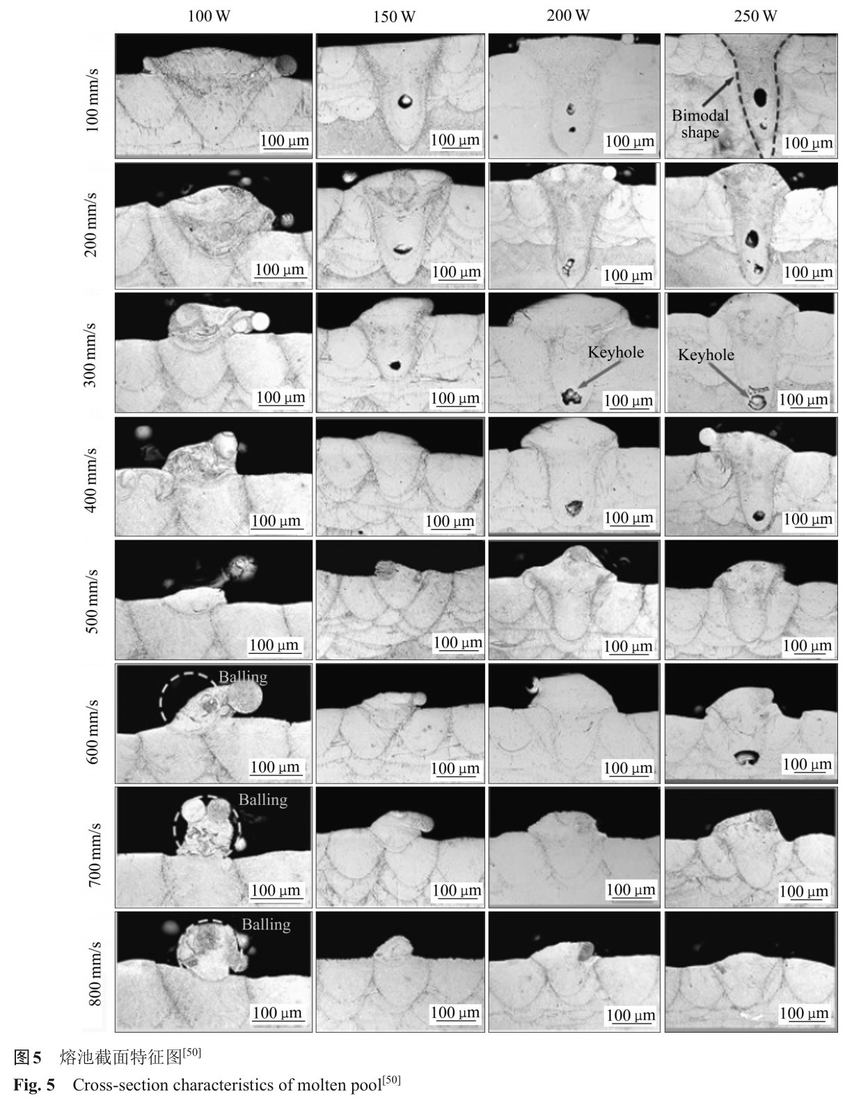 1728464234178923.jpg t5.jpg