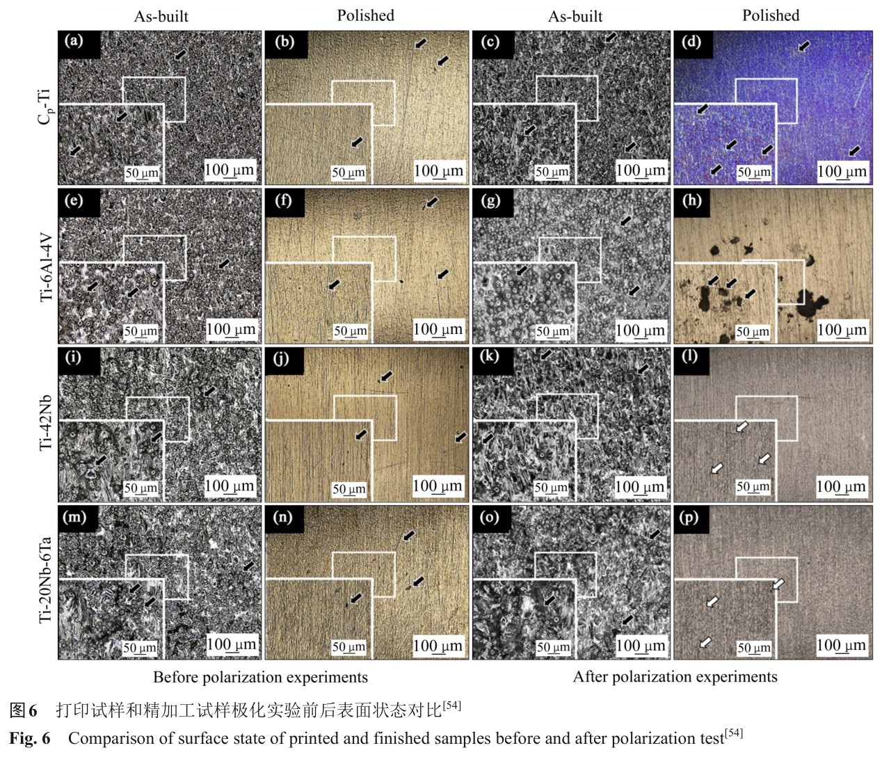 1728464243828986.jpg t6.jpg