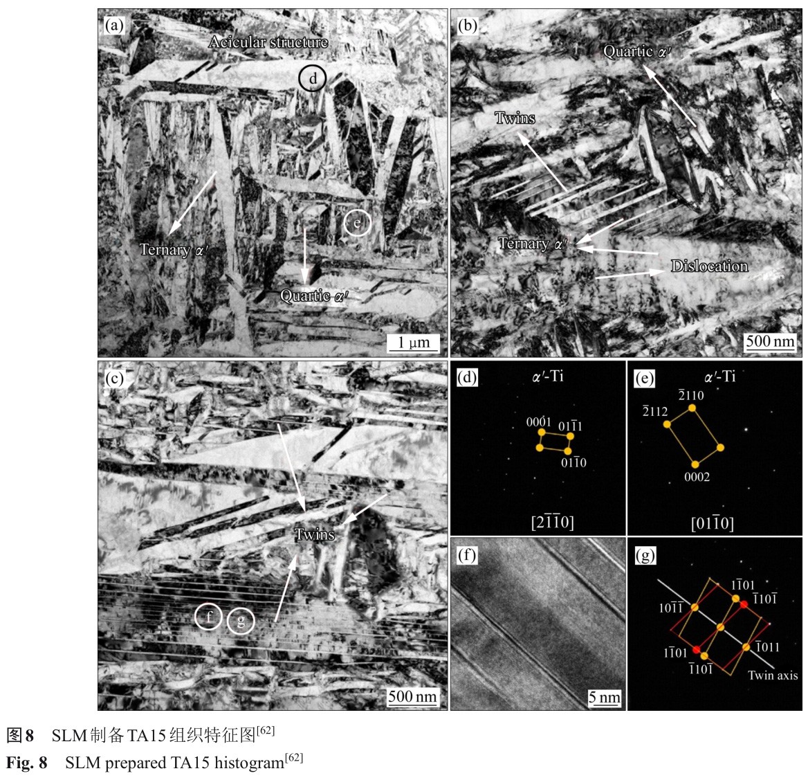 1728464264188523.jpg t8.jpg