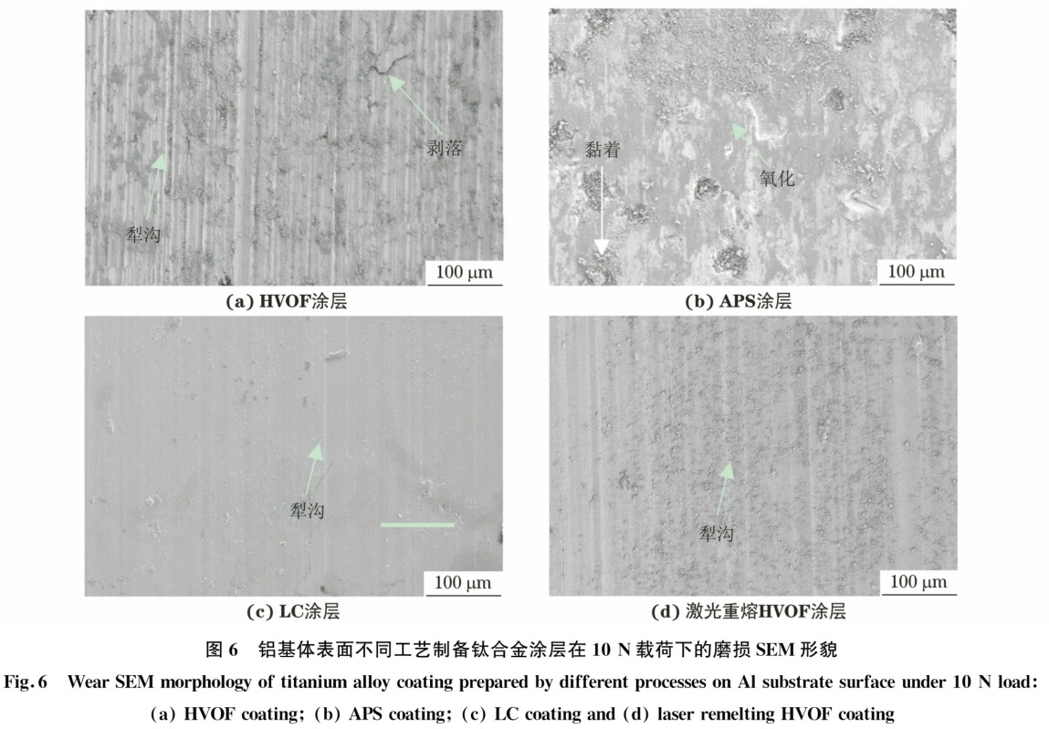 1728531635869220.jpg t6.jpg