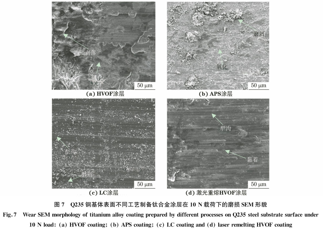 1728531648929085.jpg t7.jpg