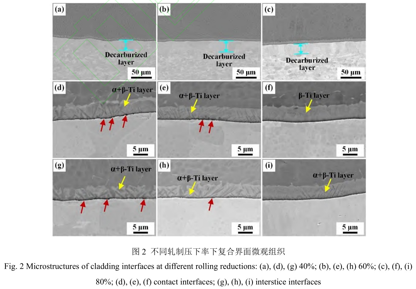 1728563816997317.jpg t2.jpg