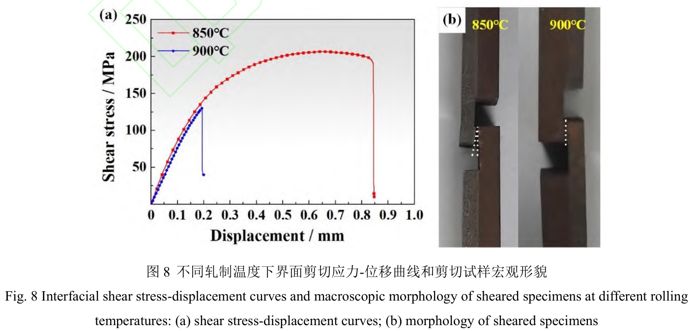 1728563872478342.jpg t8.jpg