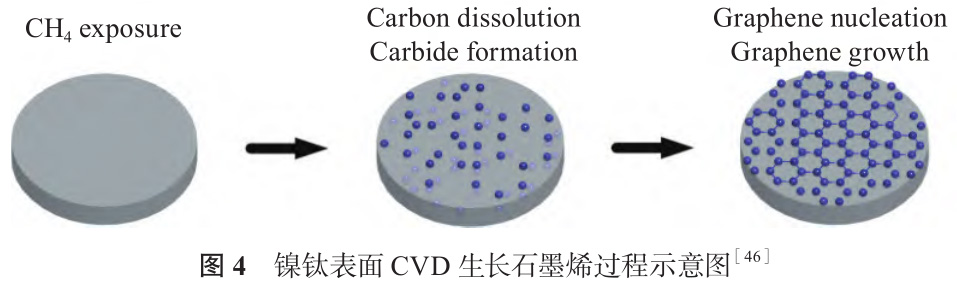 1728572897228306.jpg 4.jpg