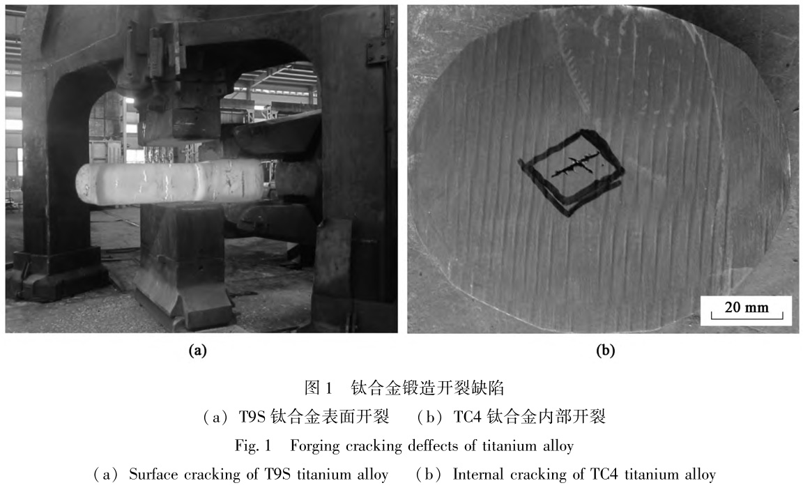 1728786302237082.jpg 1.jpg