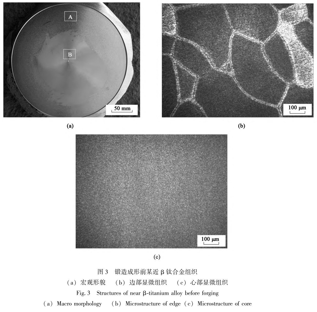 1728786318186209.jpg 3.jpg