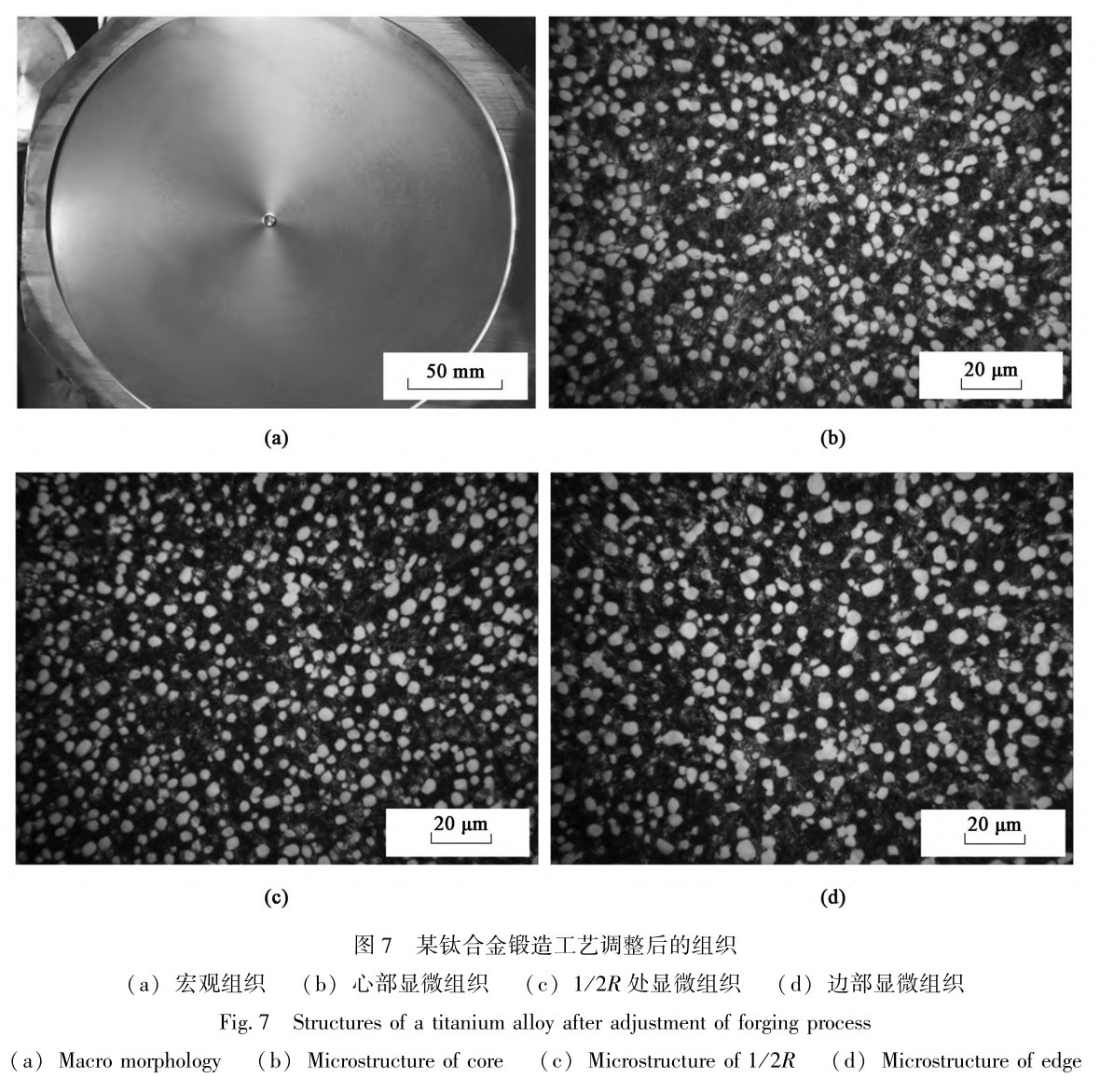 1728786361878676.jpg 7.jpg