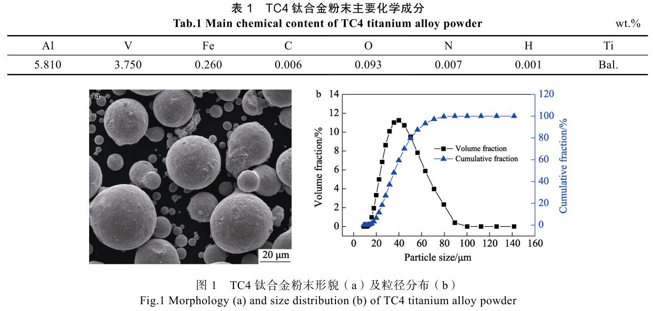 1728828592879013.jpg b1-t1.jpg