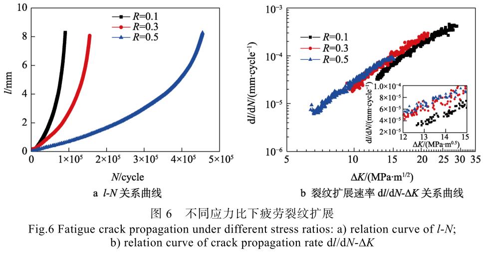 1728828726609796.jpg t6.jpg