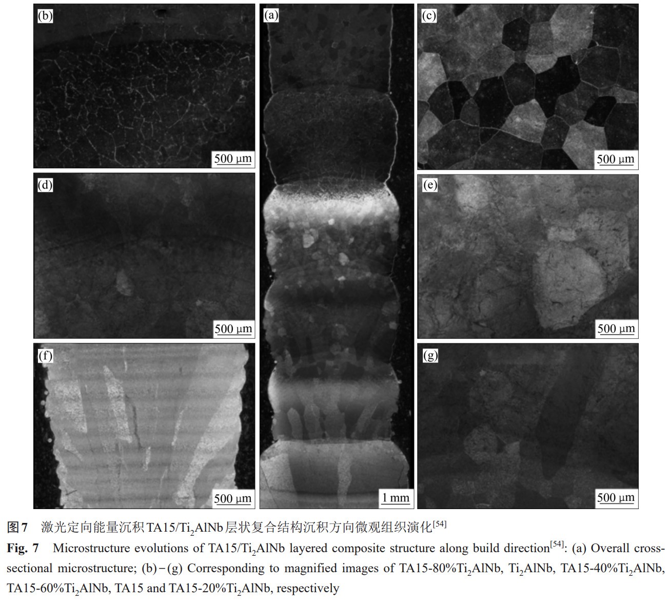 1730712122805298.jpg 7.jpg