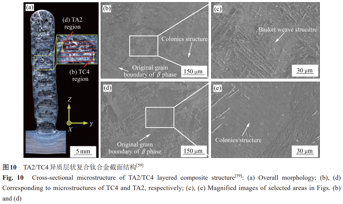 1730712155302212.png 10.png