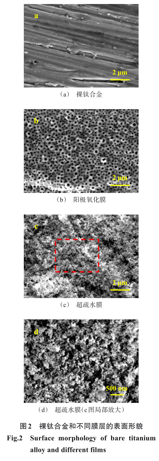 1726800944909394.jpg t2.jpg