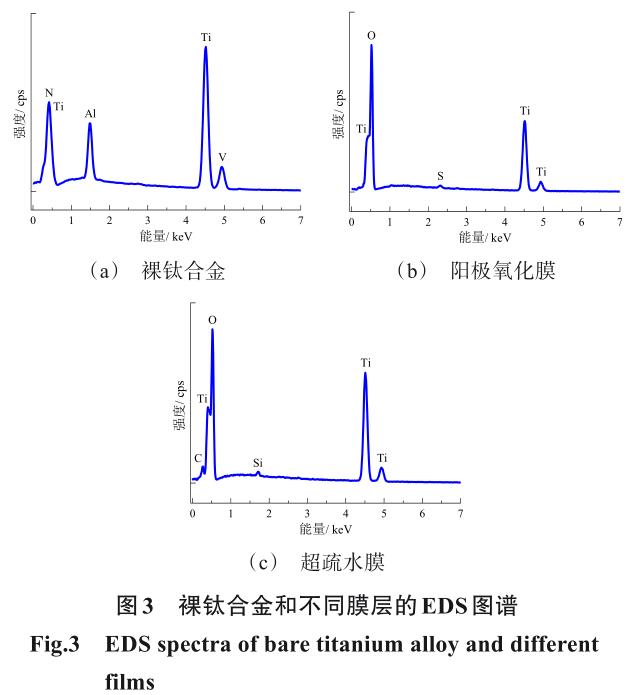 1726800954404876.jpg t3.jpg