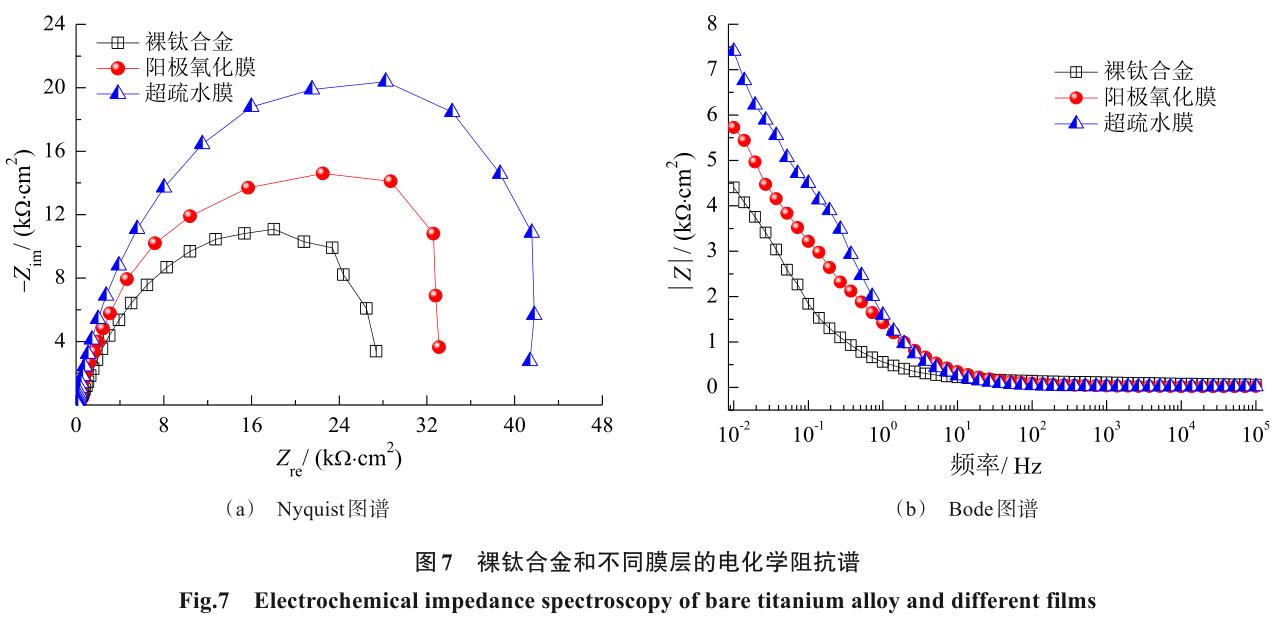 1726801008763942.jpg t7.jpg