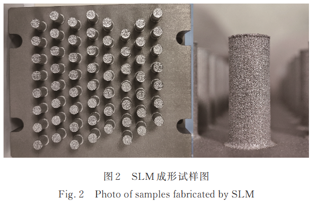 1730793432451172.png 2.png