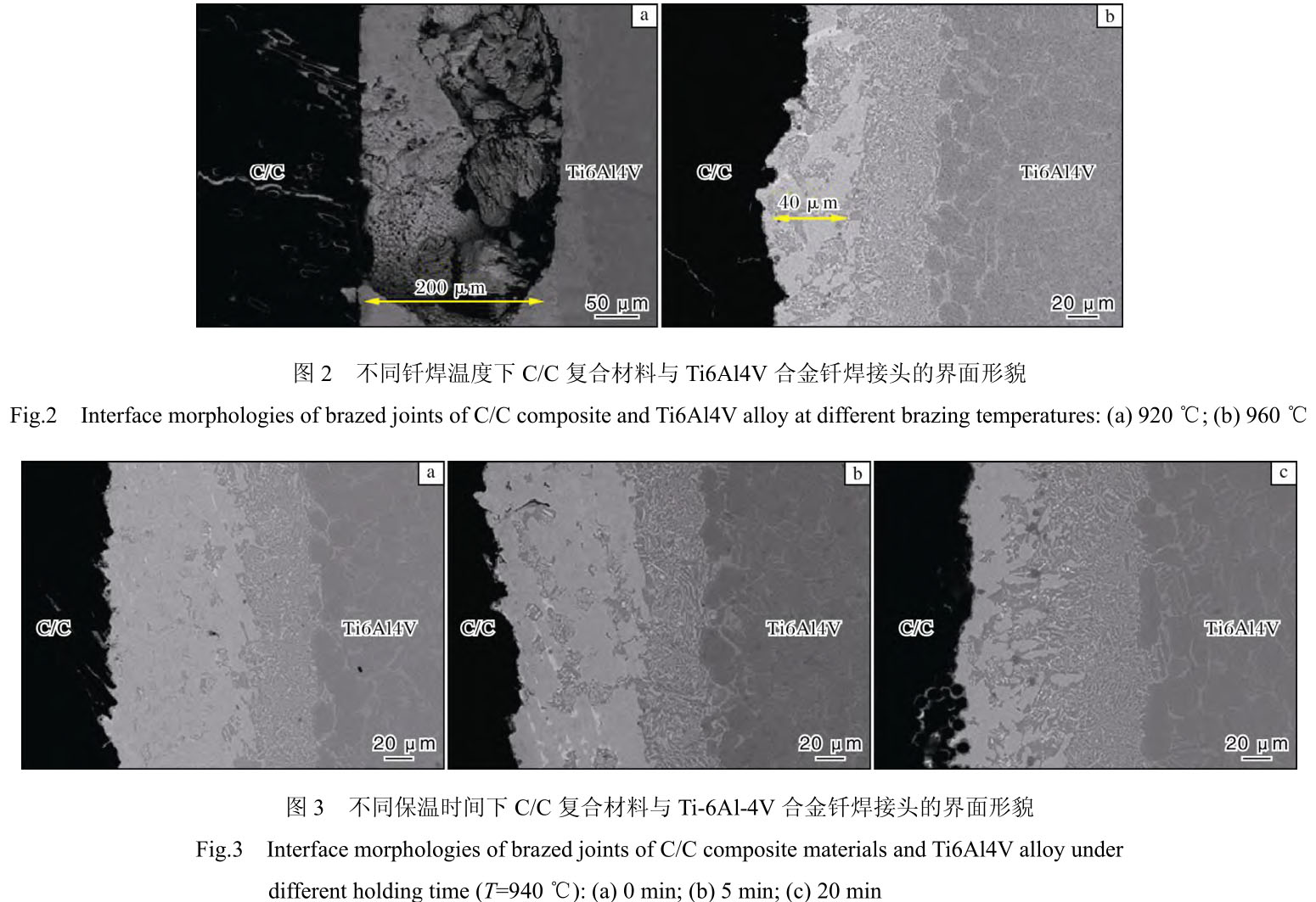 1719656279886358.jpg t2-3.jpg