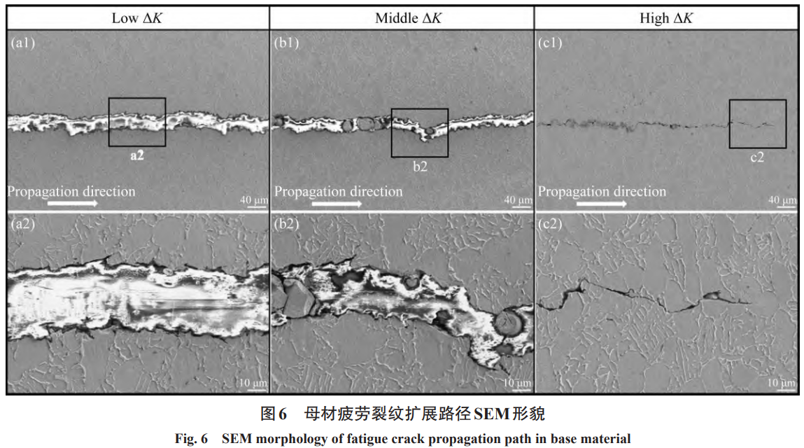 1731057040687929.png 6.png