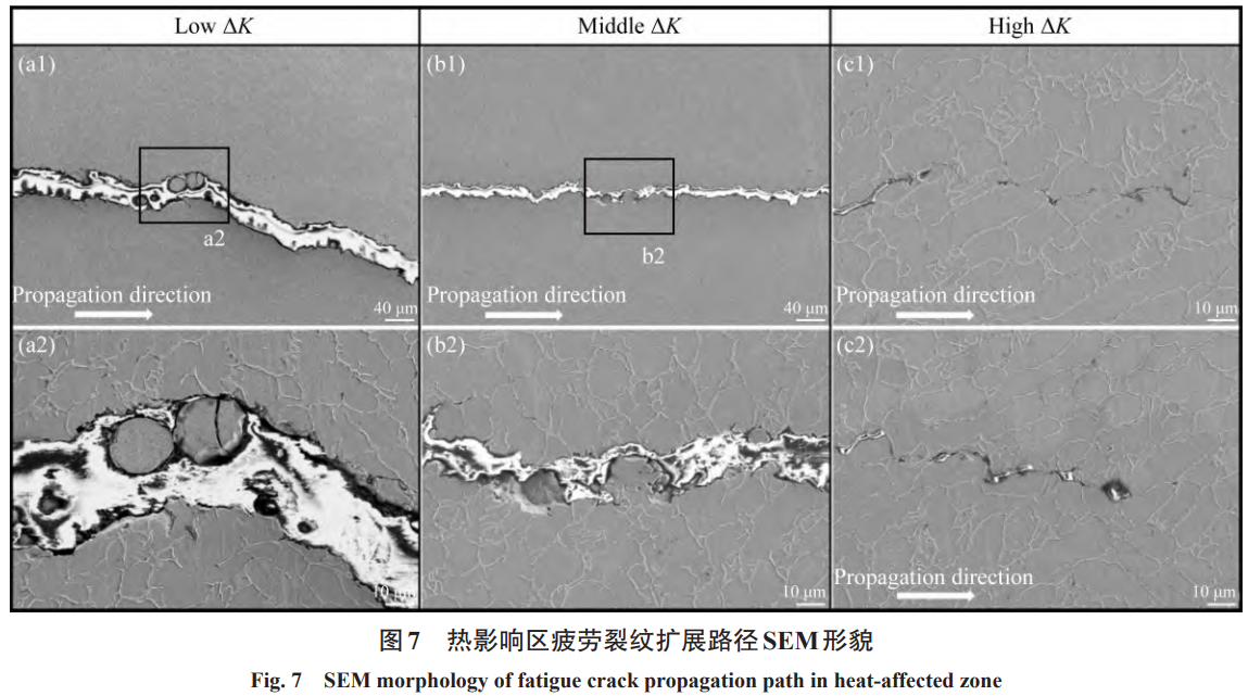 1731057048840670.png 7.png