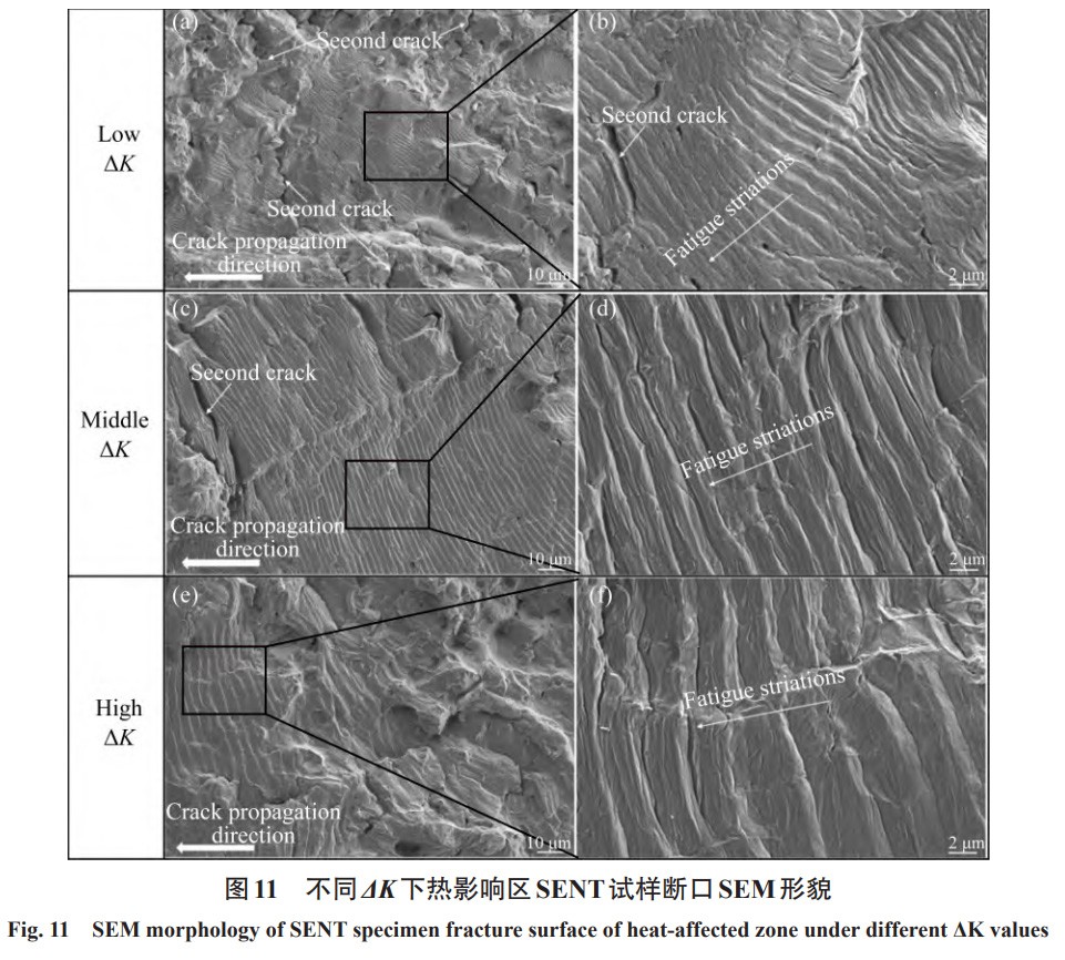 1731057082675577.jpg 11.jpg