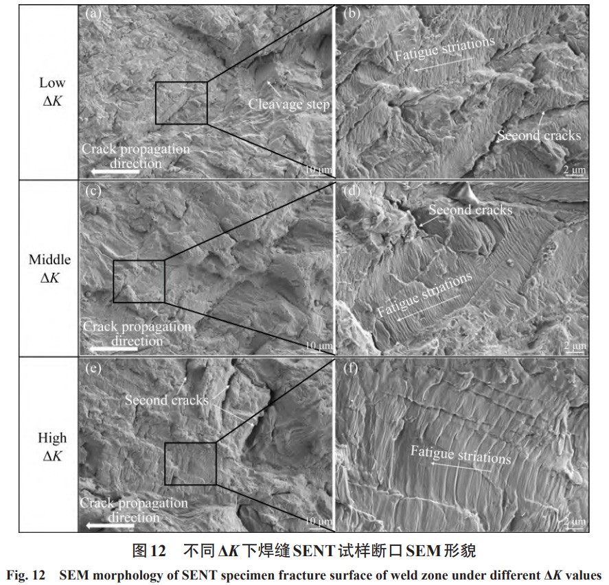 1731057089514720.jpg 12.jpg