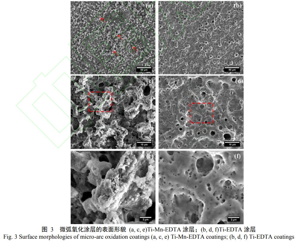 1738675277575624.png 3.png