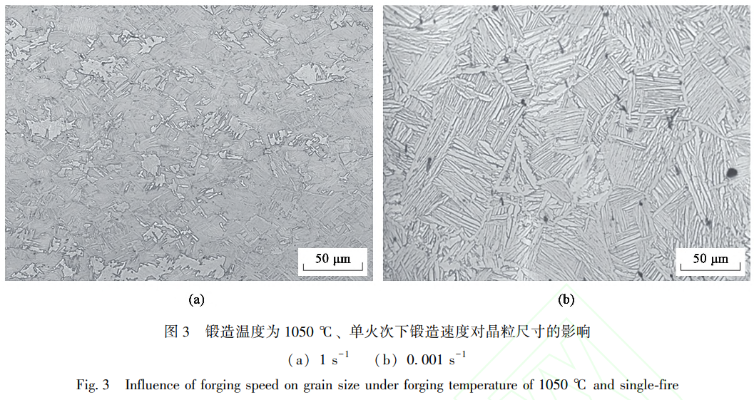 1738832717277471.png 截圖20250206165527.png