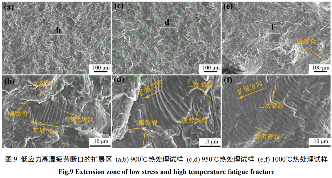 1738931298455685.png 截圖20250207201941.png